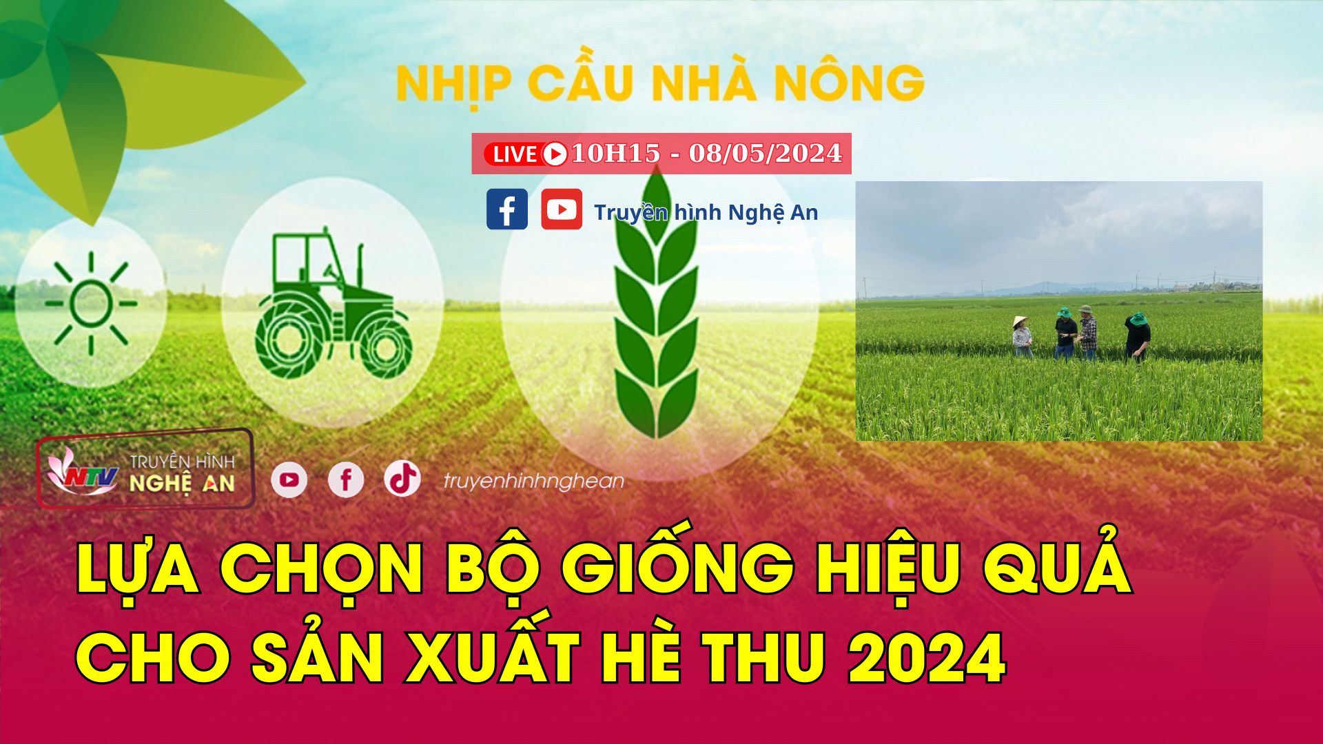 Nhịp cầu nhà nông: Lựa chọn bộ giống hiệu quả cho sản xuất hè thu 2024