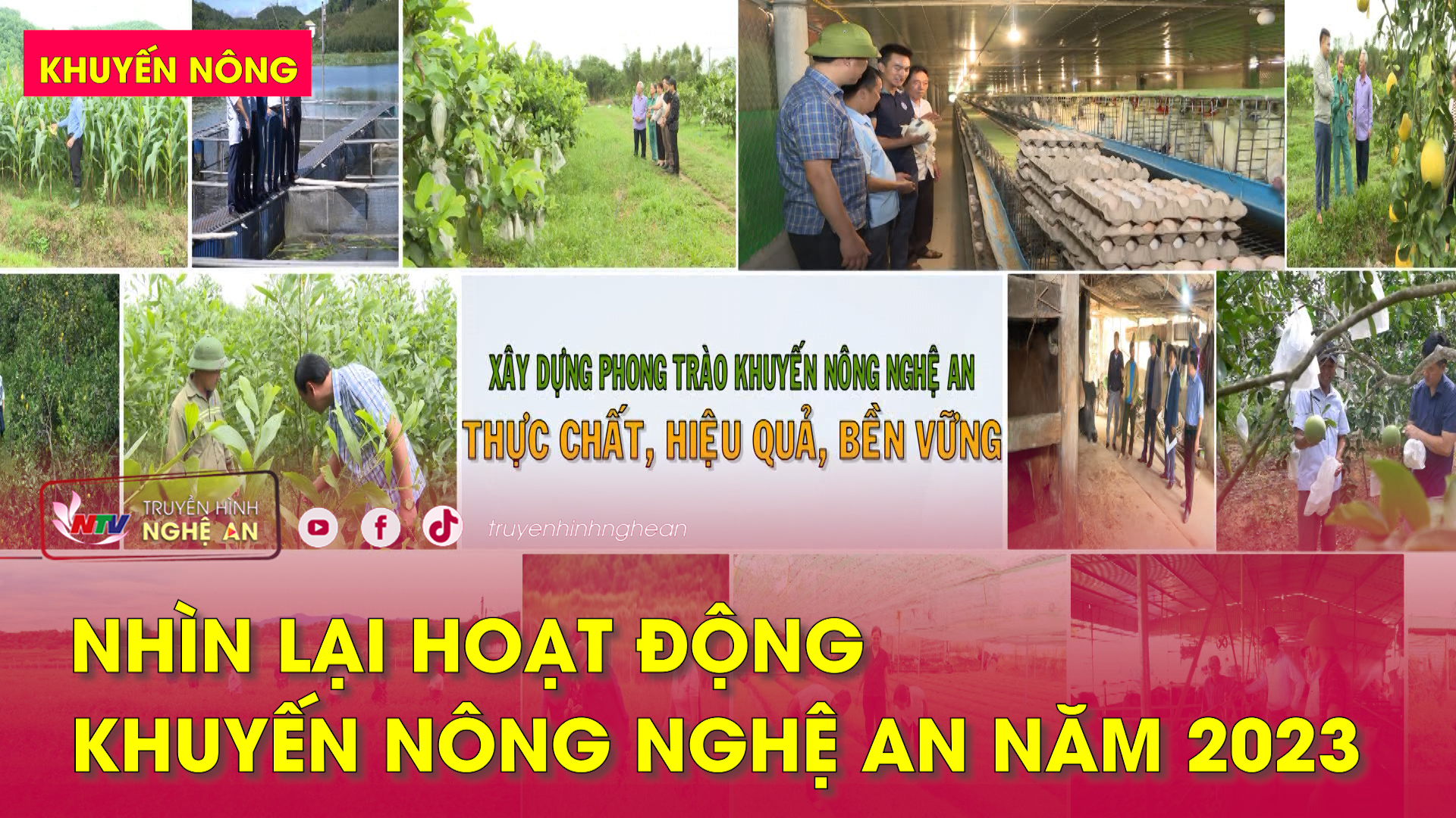 Nhìn lại hoạt động Khuyến nông Nghệ An năm 2023