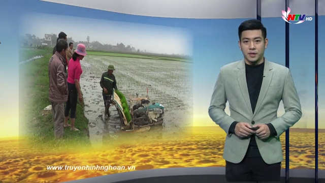 Nghệ An ngày mới - 19/01/2019