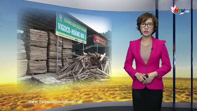 Nghệ An ngày mới - 24/01/2019