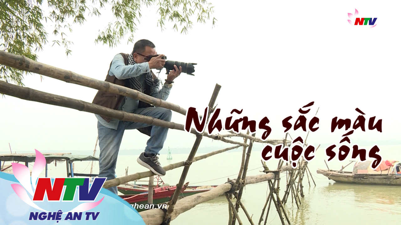 Tác giả tác phẩm: Những sắc màu cuộc sống