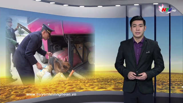 Nghệ An ngày mới - 26/01/2019