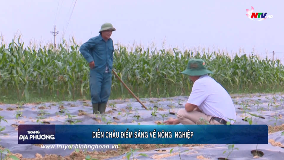 Trang địa phương ngày 05/01/2020