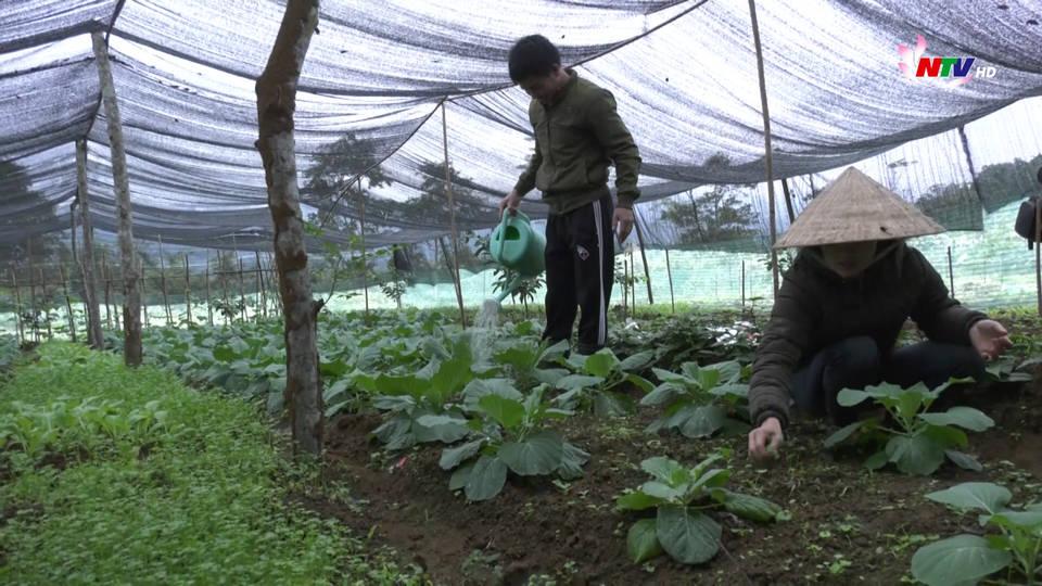 Trang địa phương ngày 31/12/2020