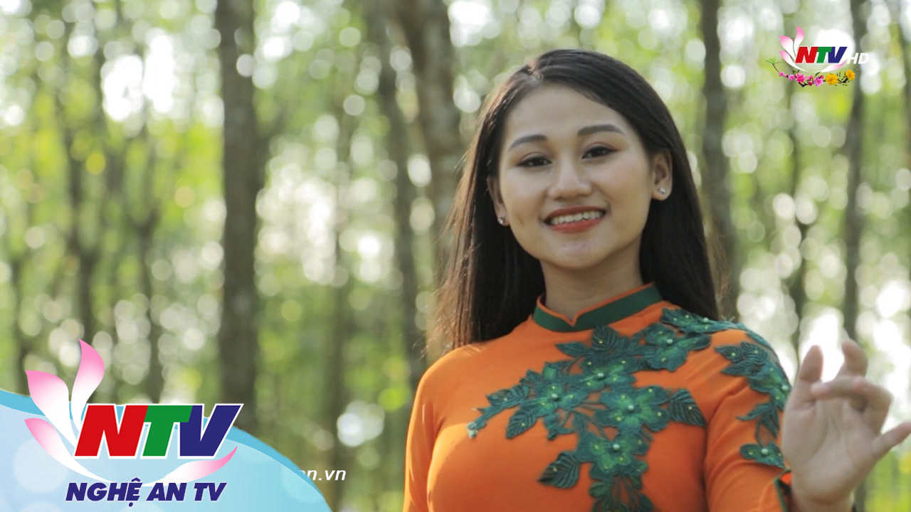 Ca nhạc: Nghệ An tôi yêu