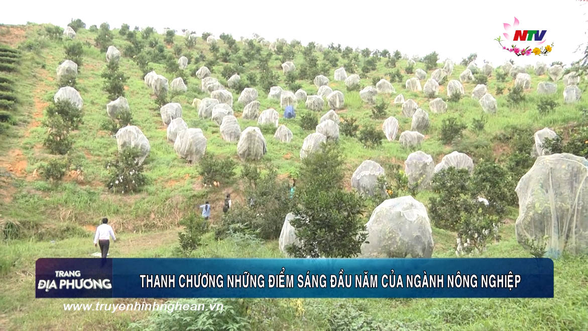 Trang địa phương ngày 09/02/2019