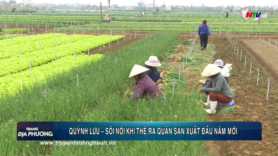 Trang địa phương ngày 11/02/2019