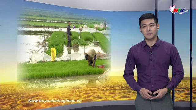 Nghệ An ngày mới - 15/02/2019