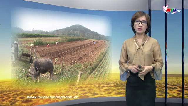 Nghệ An ngày mới - 21/02/2019