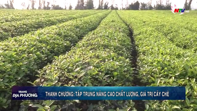 Trang địa phương ngày 23/02/2019