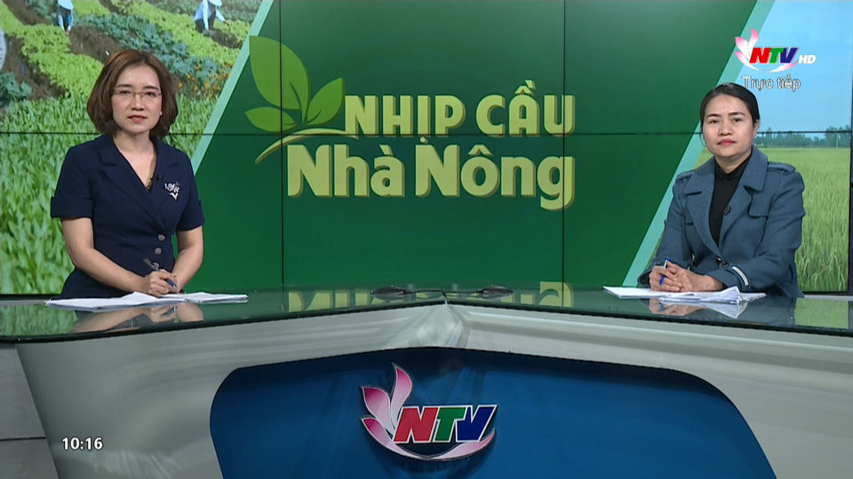 Nhịp cầu nhà nông: Phòng chống dịch bệnh cho tôm trước mùa vụ thả nuôi