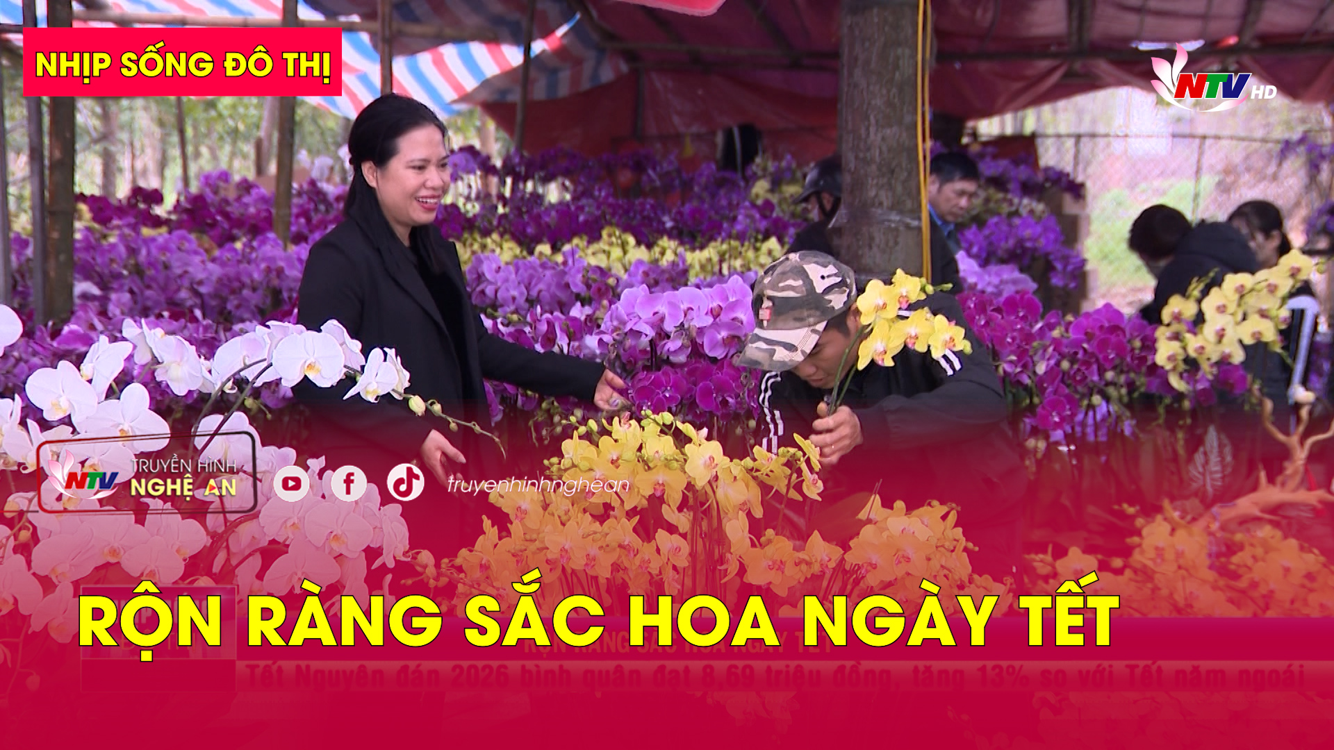 Nhịp sống đô thị: Rộn ràng sắc hoa ngày Tết