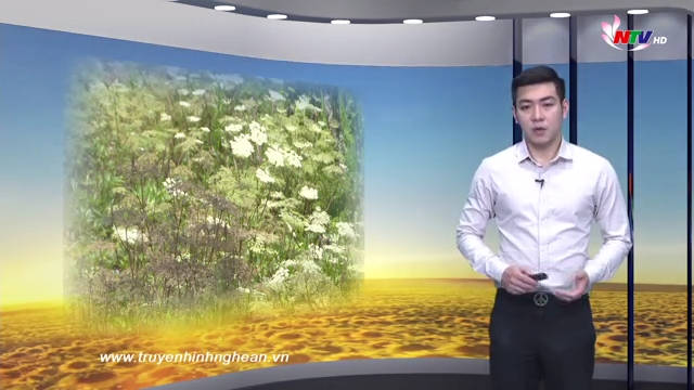 Nghệ An ngày mới - 15/03/2019