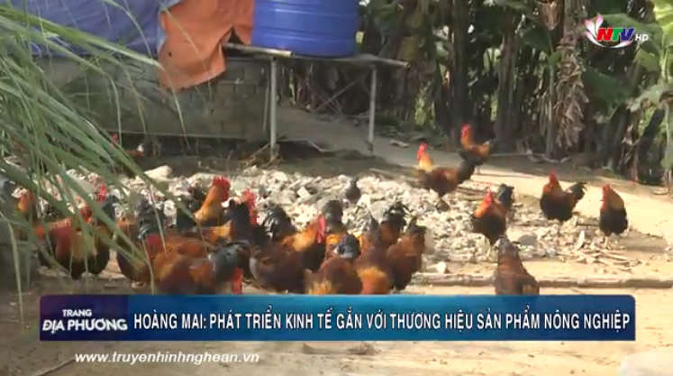 Trang địa phương ngày 15/04/2019