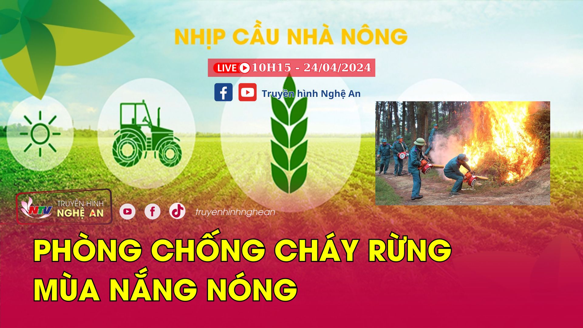 Nhịp cầu nhà nông: Phòng chống cháy rừng mùa nắng nóng