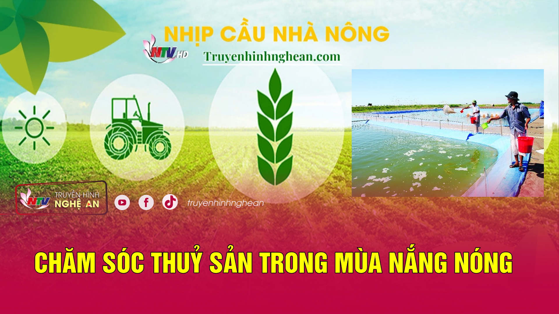 Nhịp cầu nhà nông: Chăm sóc thuỷ sản trong mùa nắng nóng