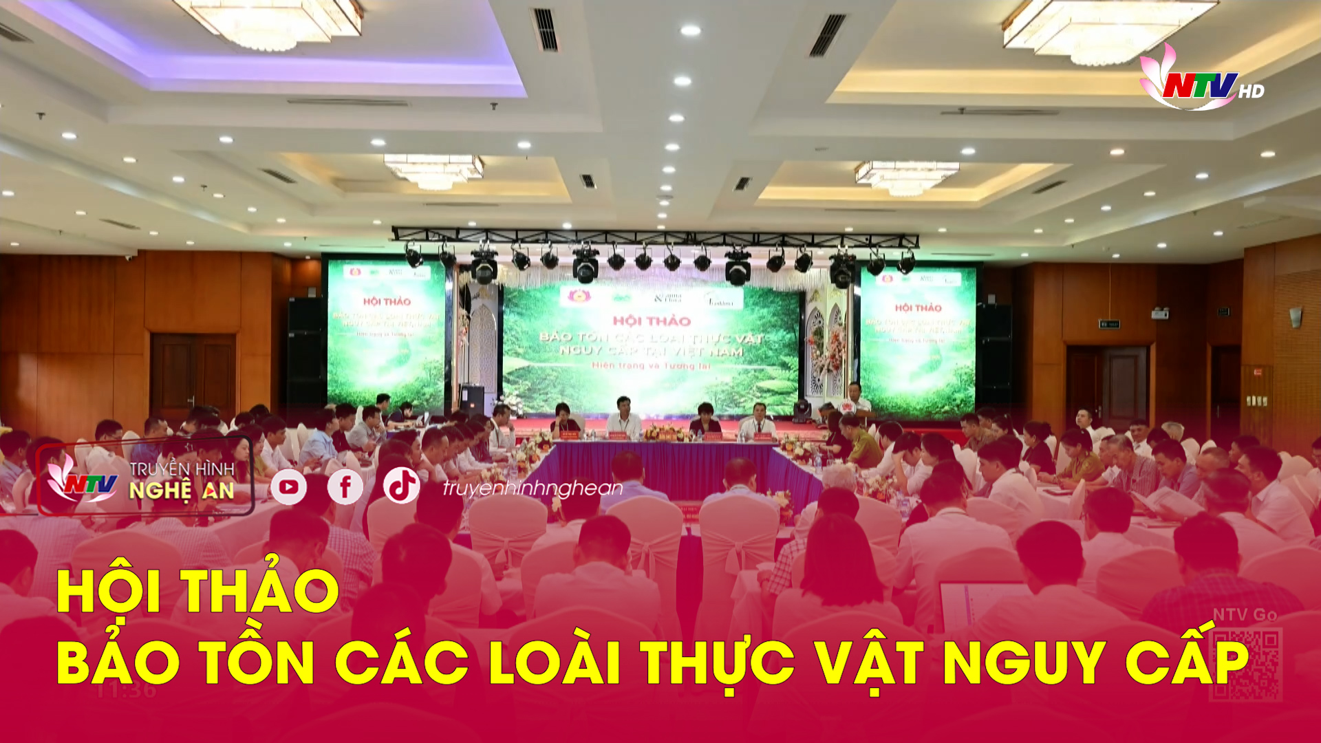Hội thảo bảo tồn các loài thực vật nguy cấp