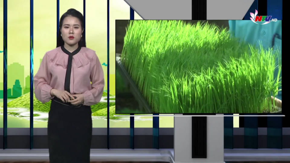 Nghệ An ngày mới - 29/5/2021