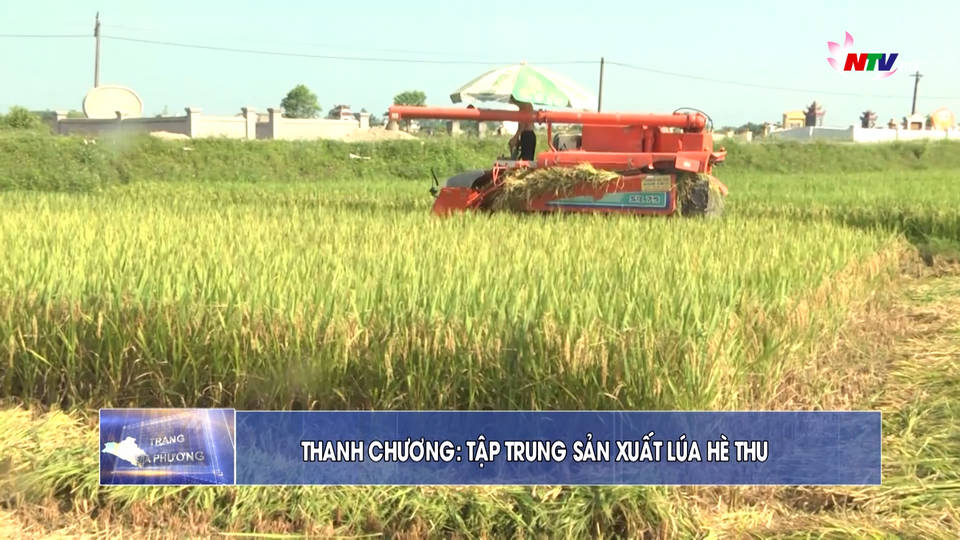 Trang địa phương ngày 29/5/2021