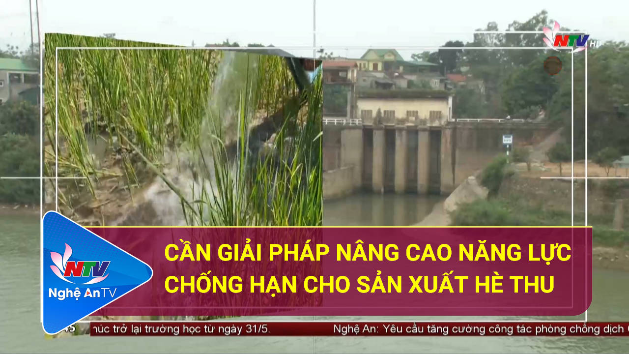 Cần giải pháp nâng cao năng lực chống hạn cho sản xuất hè thu