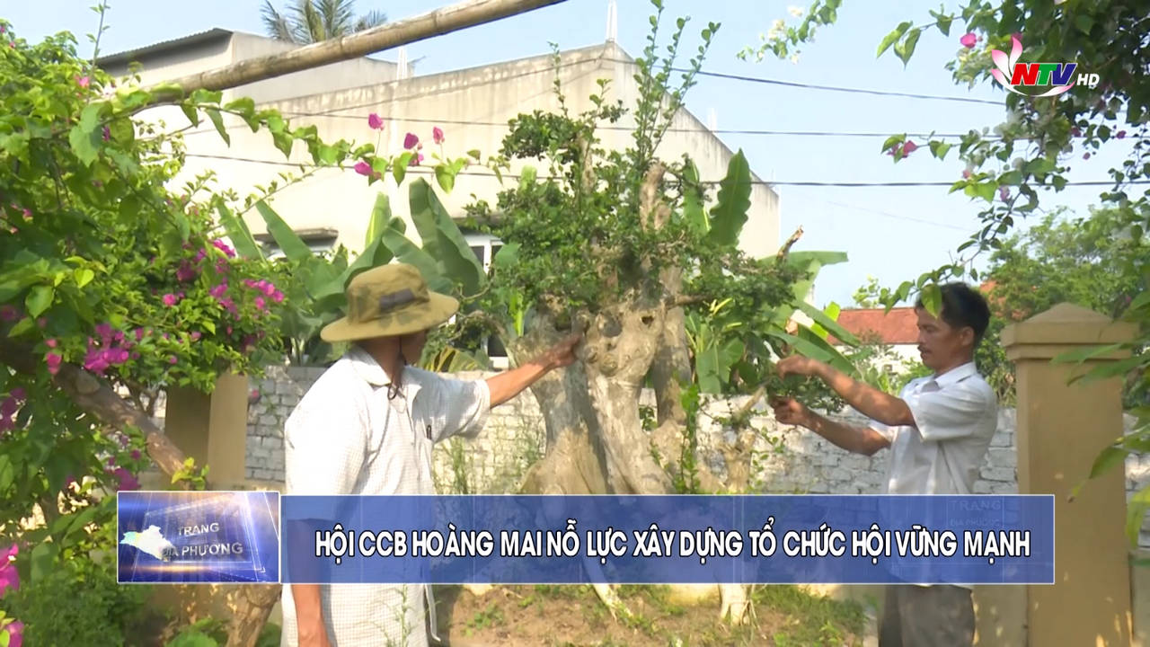 Trang địa phương ngày 7/5/2022