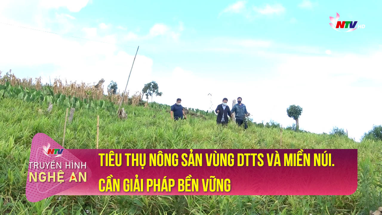Tiêu thụ nông sản vùng dân tộc thiểu số và miền núi.cần giải pháp bền vững