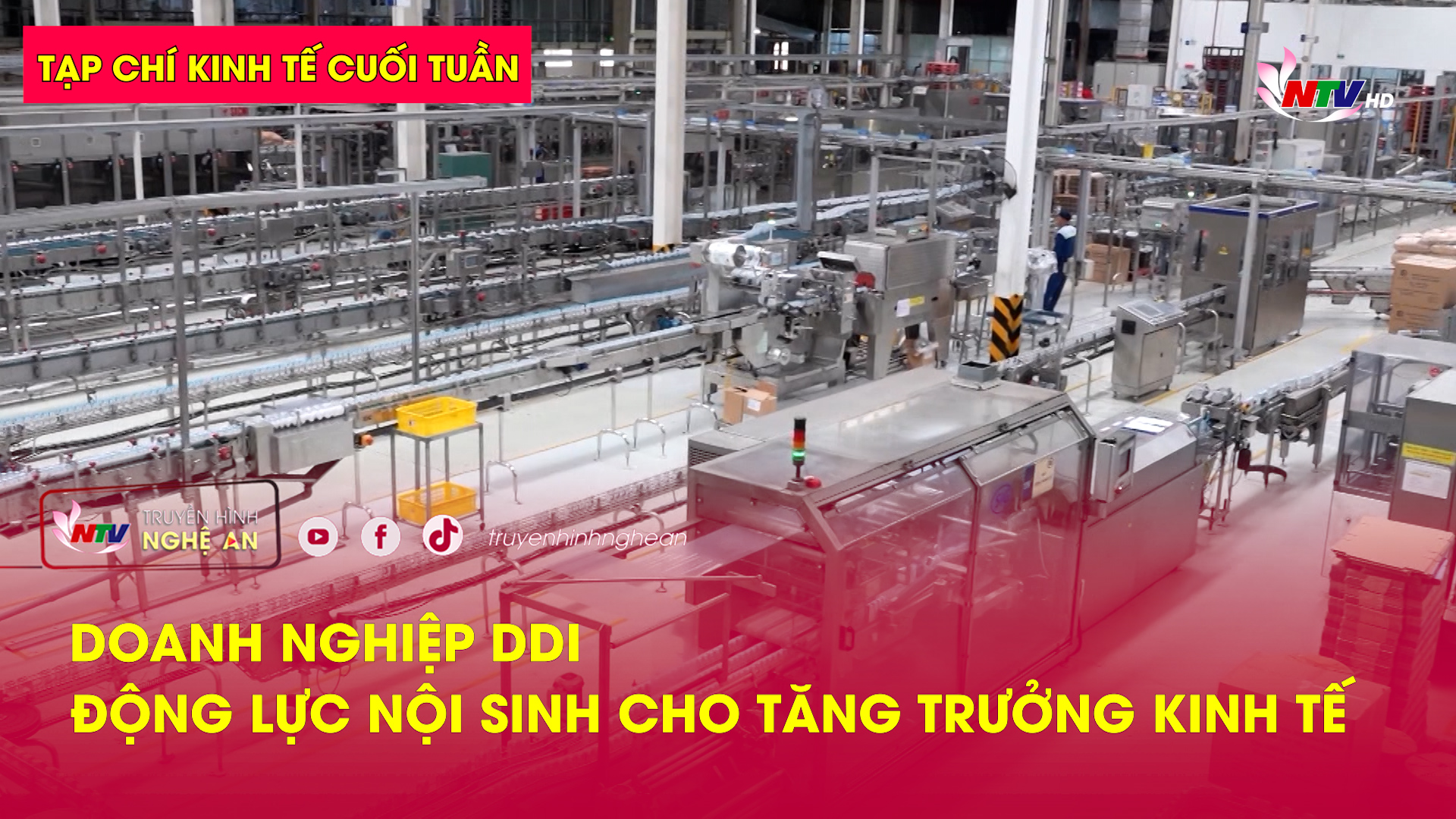 Tạp chí kinh tế cuối tuần: Doanh nghiệp DDI – Động lực nội sinh cho tăng trưởng kinh tế