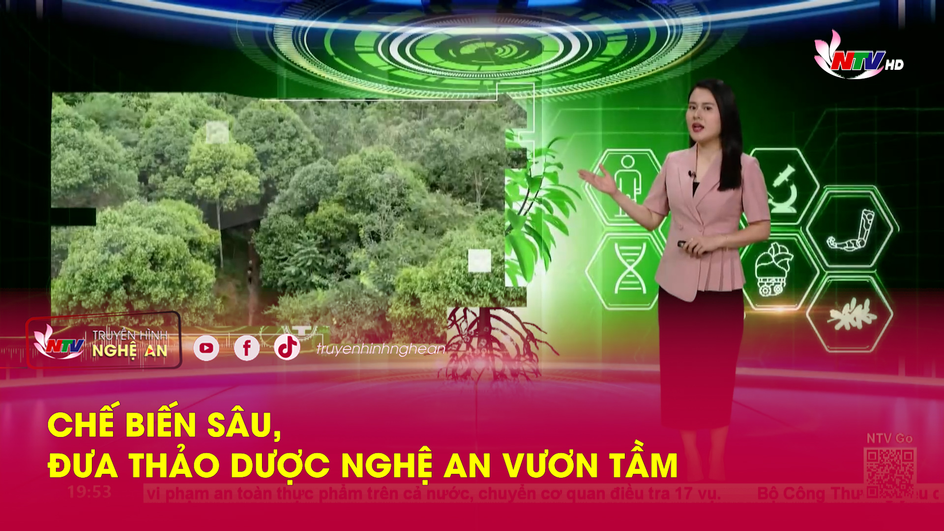 Chế biến sâu, đưa thảo dược Nghệ An vươn tầm