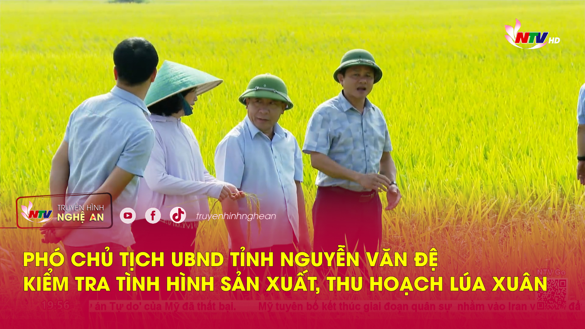 Phó Chủ tịch UBND tỉnh Nguyễn Văn Đệ kiểm tra tình hình sản xuất, thu hoạch lúa Xuân
