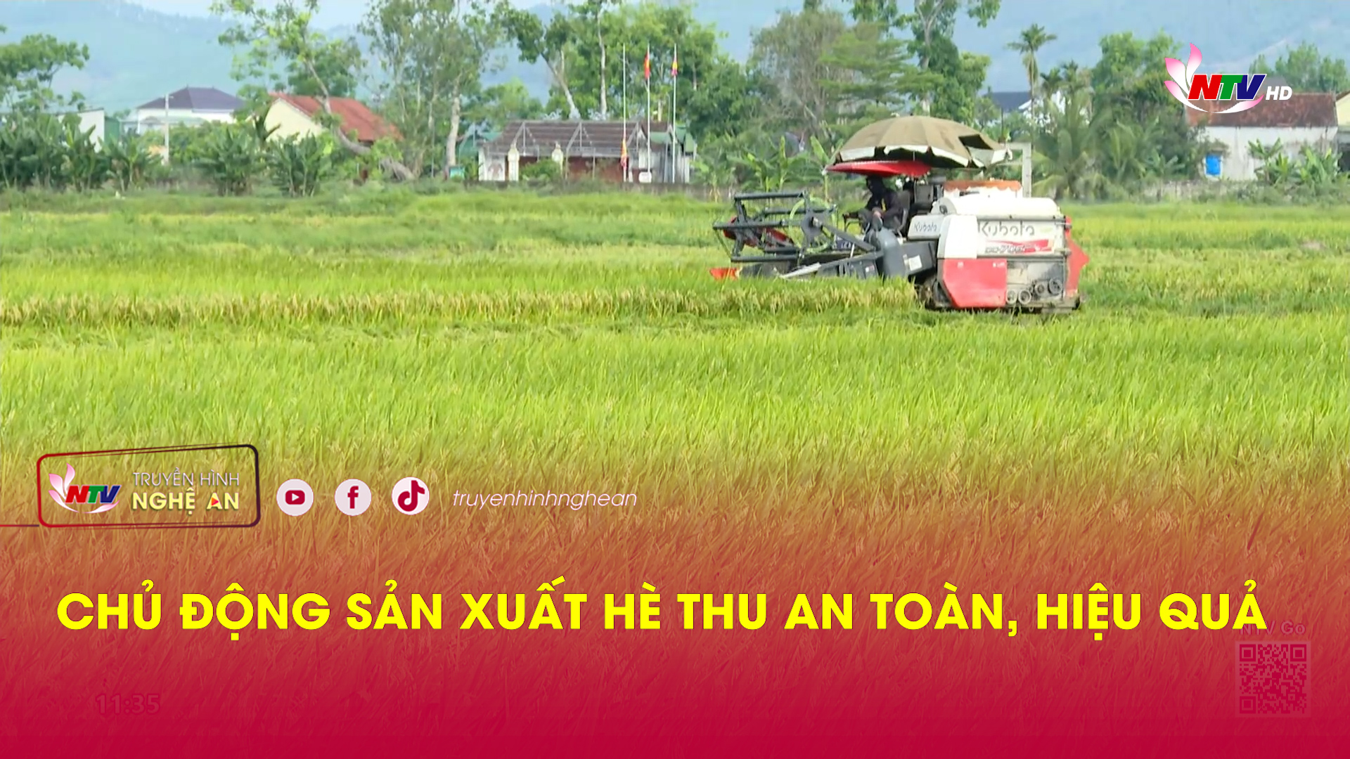 Chủ động sản xuất hè thu an toàn, hiệu quả