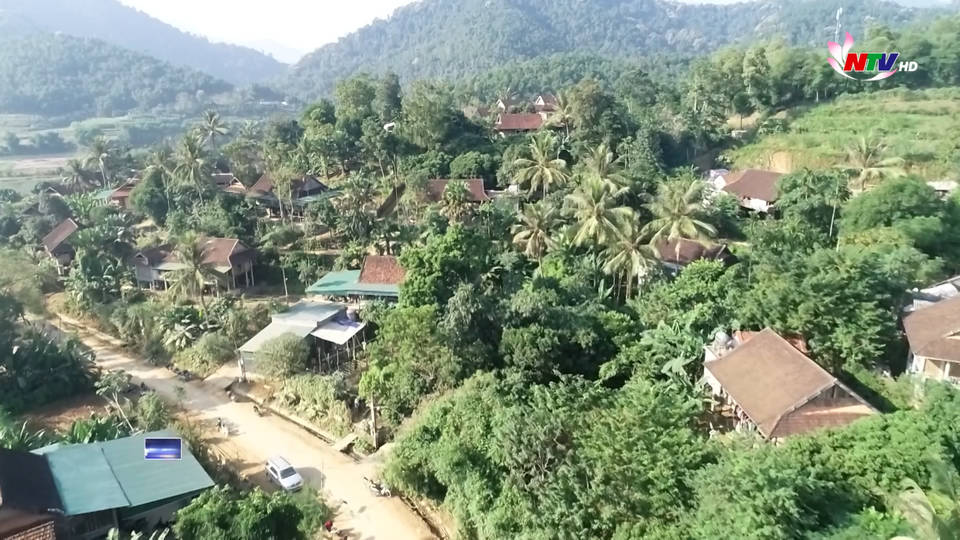 Trang địa phương ngày 02/6/2021