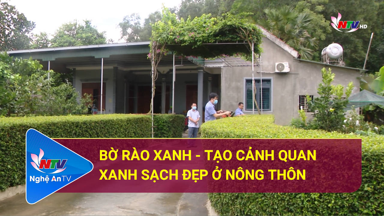 Bờ rào xanh - Tạo cảnh quan xanh sạch đẹp ở nông thôn