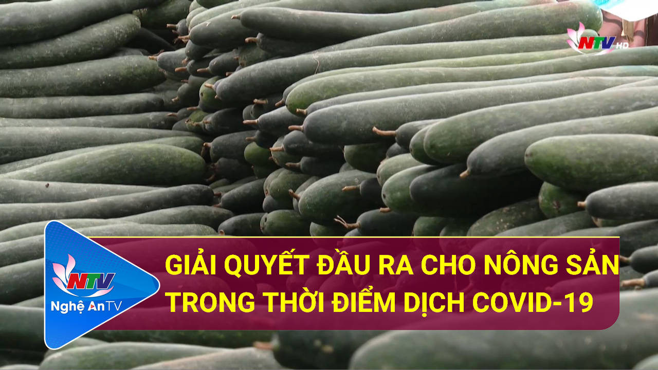 Giải quyết đầu ra cho nông sản trong thời điểm dịch Covid-19