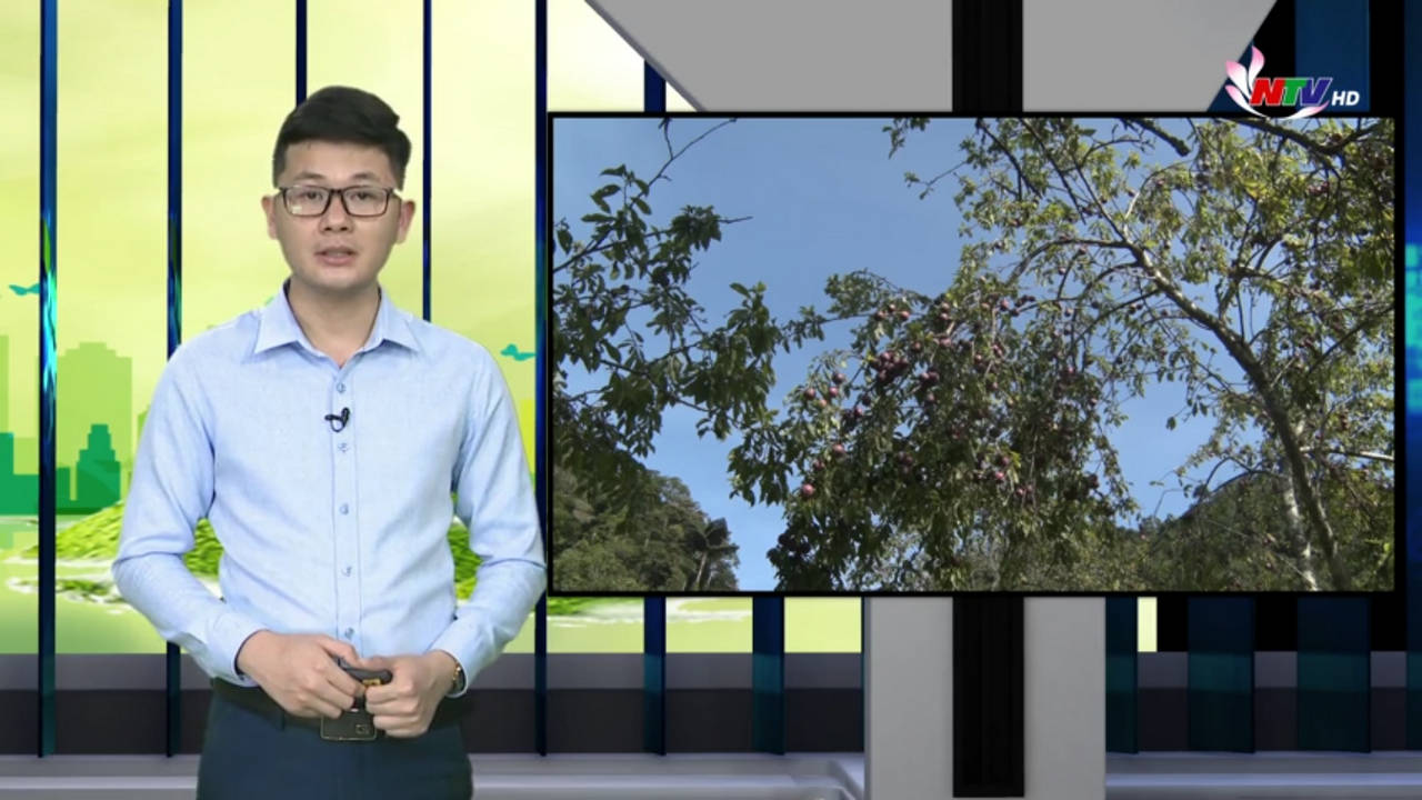 Nghệ An ngày mới - 07/6/2021