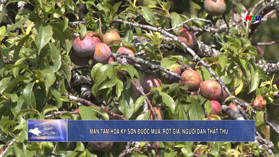 Trang địa phương ngày 06/6/2021