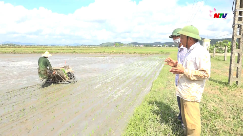 Trang địa phương ngày 07/6/2021
