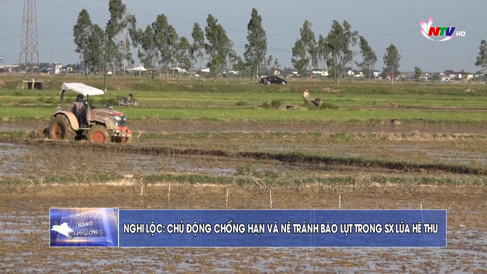 Trang địa phương ngày 09/6/2021