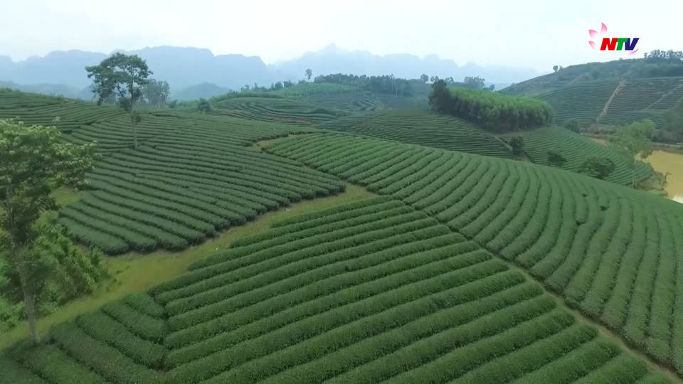 Trang địa phương ngày 10/06/2021