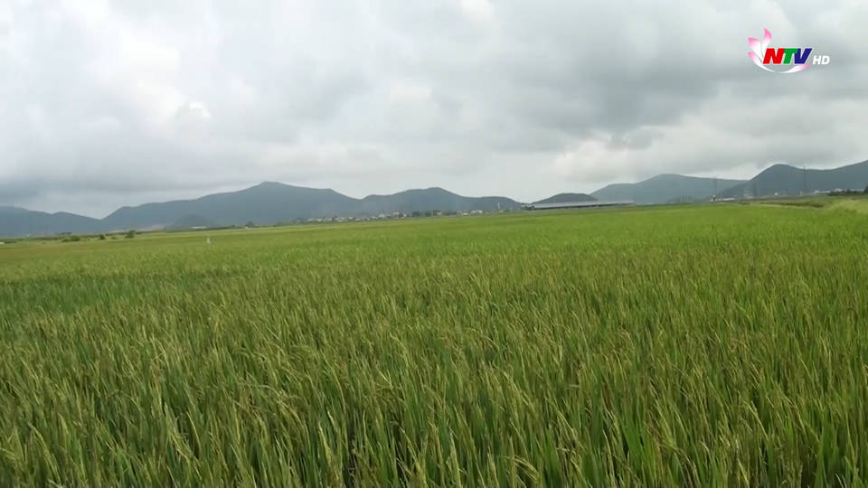 Trang địa phương ngày 16/6/2021