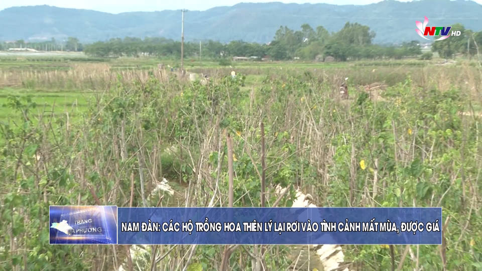 Trang địa phương ngày 22/6/2021