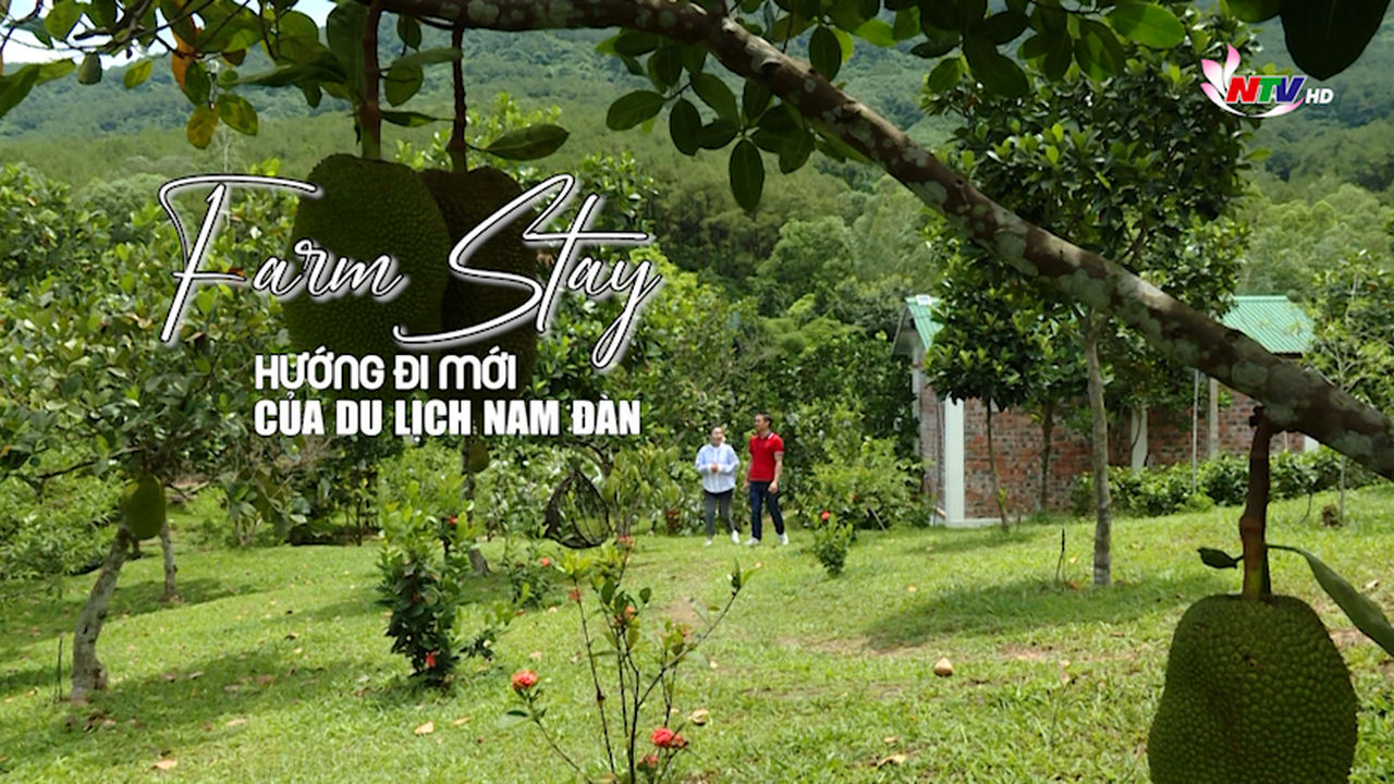 Khám phá Nghệ An: Farm Stay - Hướng đi mới của du lịch Nam Đàn