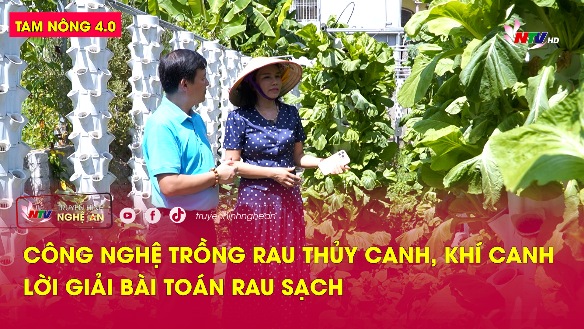 Tam nông 4.0: Công nghệ trồng rau thủy canh, khí canh – Lời giải bài toán rau sạch