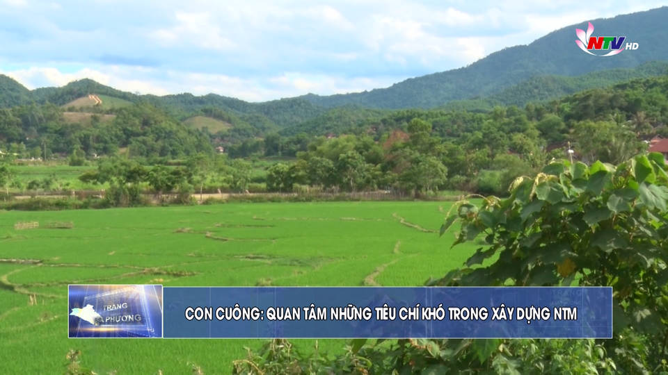 Trang địa phương ngày 07/7/2021