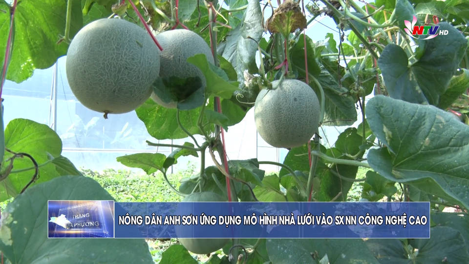 Trang địa phương ngày 08/7/2021