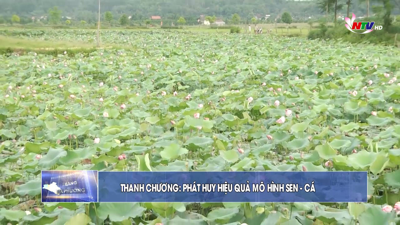 Trang địa phương ngày 10/7/2021