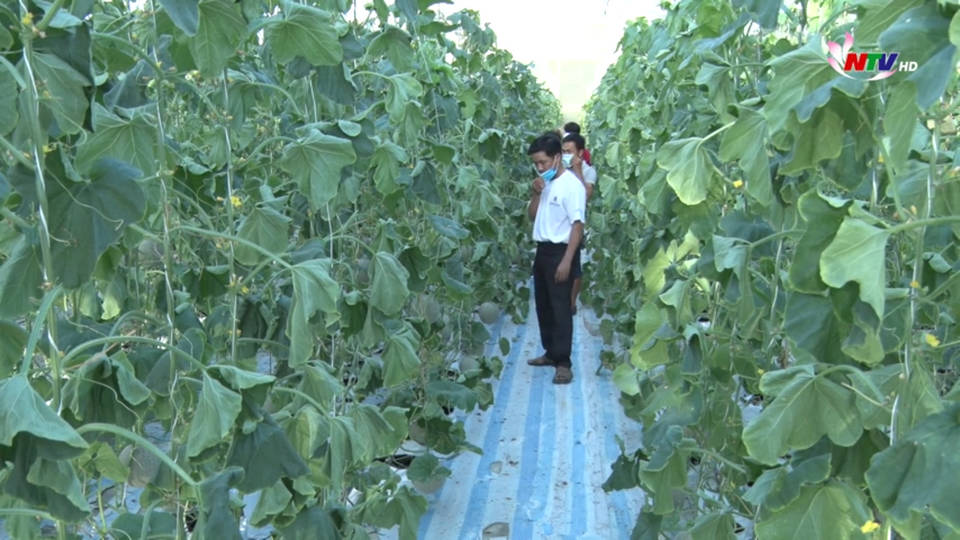 Nghệ An ngày mới - 12/7/2021