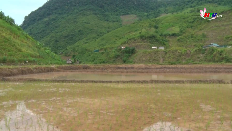 Trang địa phương ngày 18/7/2021