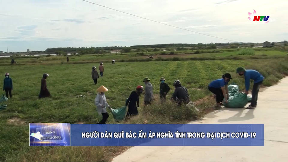 Trang địa phương ngày 20/7/2021