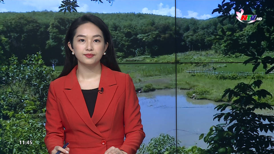 Thời sự Truyền hình trưa - 22/7/2021