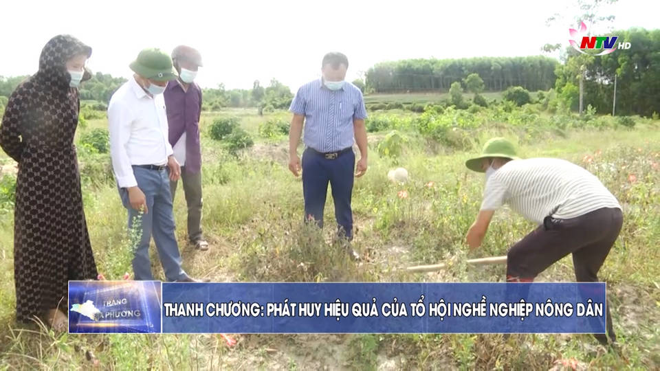 Trang địa phương ngày 24/7/2021